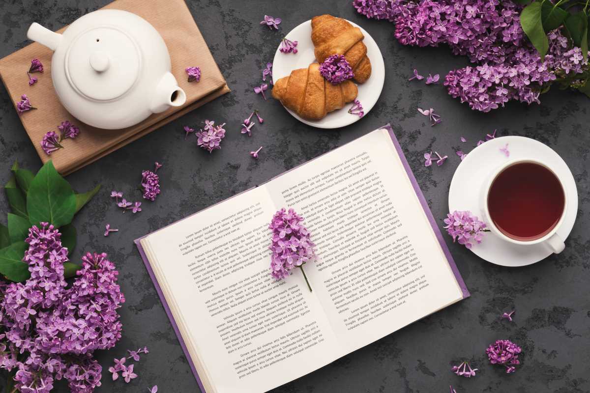Fiction That Feels Like a Warm Weekend Hug